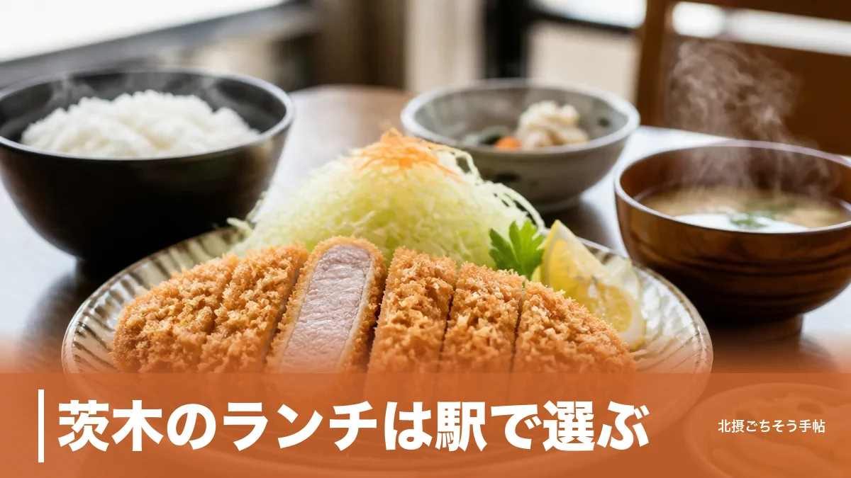 茨木のランチは駅で選ぶ｜790円のグリーンカレーから1,650円のとんかつまで5軒のアイキャッチ画像