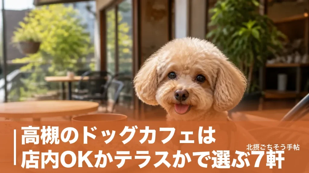 高槻のドッグカフェは店内OKかテラスかで選ぶ7軒｜駅徒歩5分から無料ドッグランまでのアイキャッチ画像