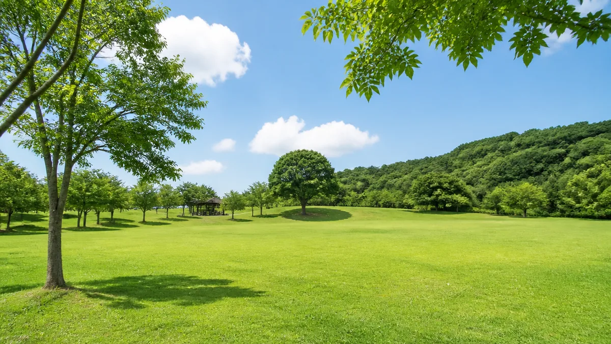 入園無料で半日いられる高槻スカイランド｜番田の芝生広場の解説画像